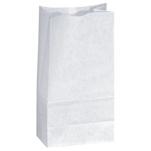 White Popcorn Bags